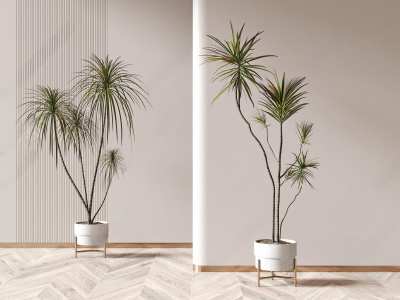 现代植物盆栽3D模型下载